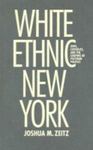 White Ethnic New York: Jews, Catholics, And The Shaping Of Postwar Politics